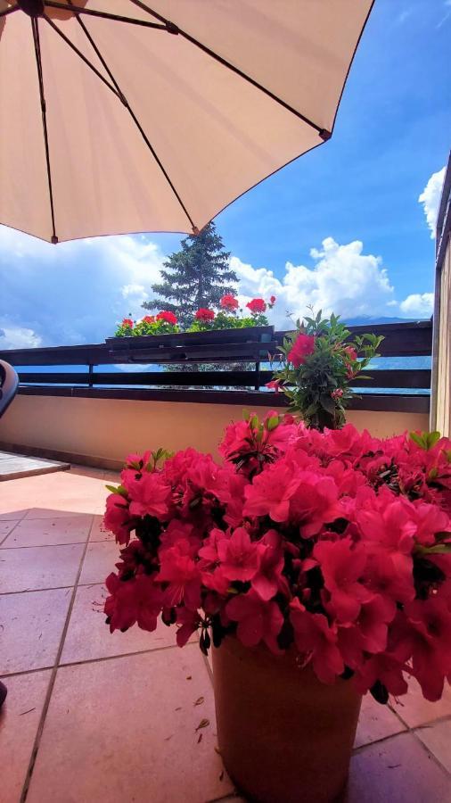 Nora S Home 4 - Panoramic Terrace & Bio Garden Merano Exterior photo