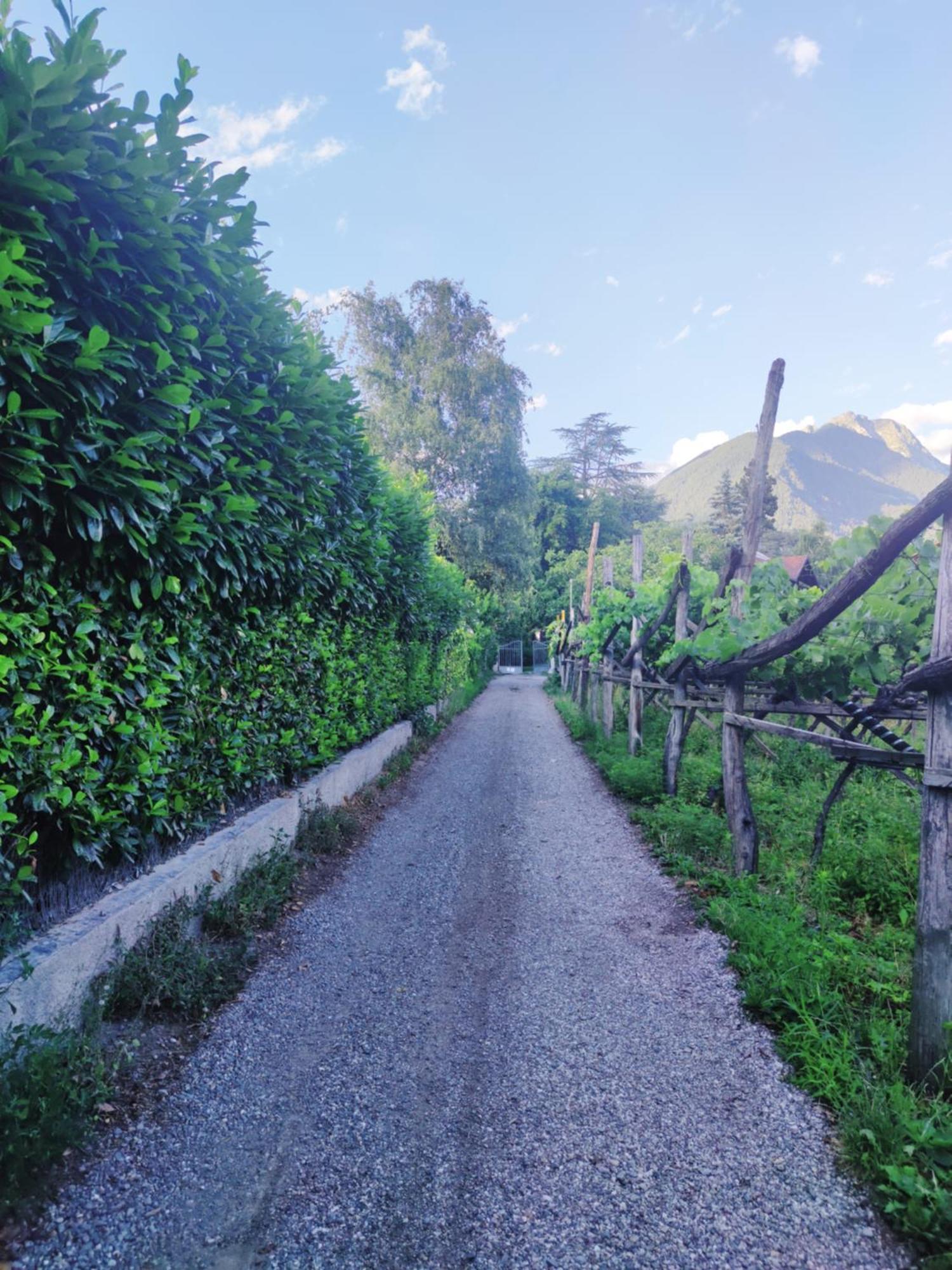 Nora S Home 4 - Panoramic Terrace & Bio Garden Merano Exterior photo
